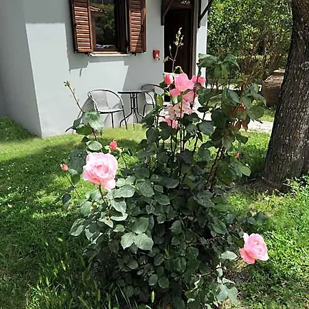 & Castle View 4* מישטראש