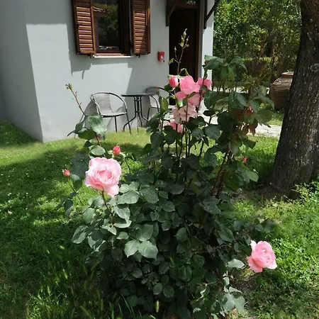 Kemping & Castle View