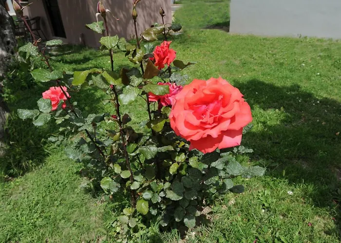 & Castle View Camping