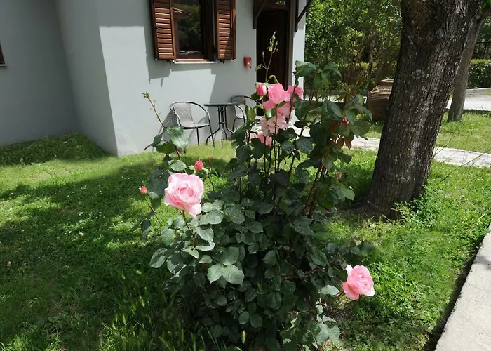 캠프장 & Castle View